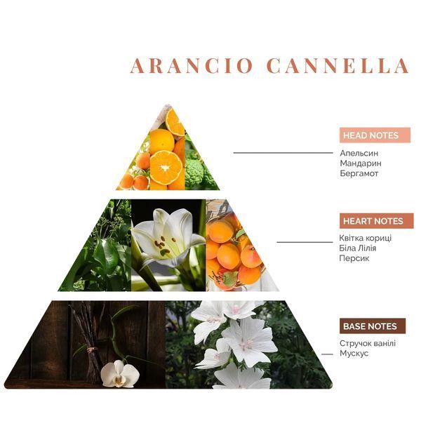 Интерьерные духи Arancio Cannella, Firenze Travel Logevy, 30 ml 30-Arancio фото
