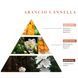 Интерьерные духи Arancio Cannella, Firenze Travel Logevy, 30 ml 30-Arancio фото 2