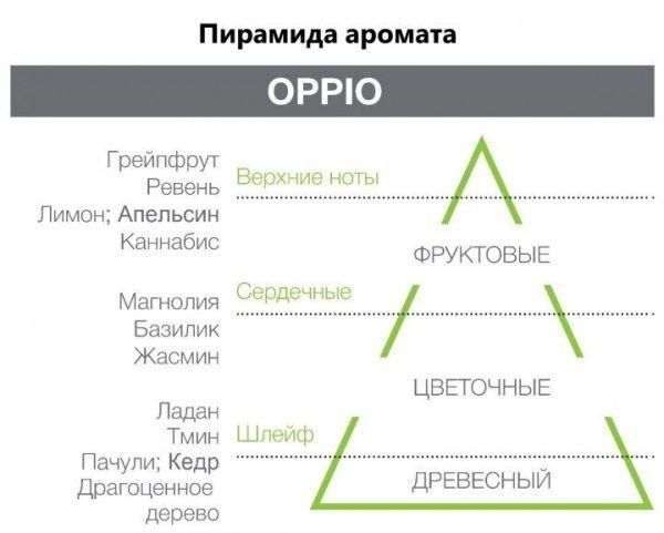 Аромаспрей для інтер'єру Oppio, Hypno Casa, 150 ml 2210L фото