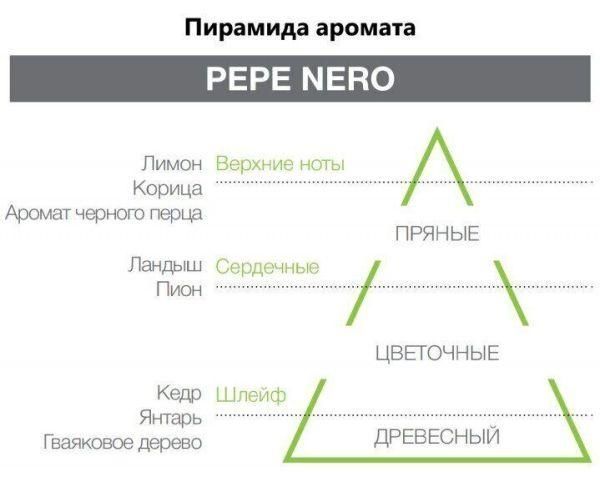 Аромаспрей для інтер'єру Pepe Nero, Hypno Casa, 150 ml 2210B фото