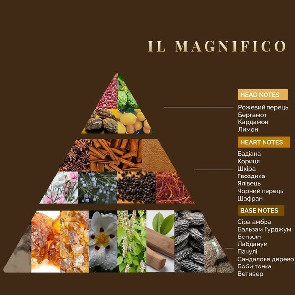 Інтер'єрні парфуми Il Magnifico, Firenze Travel Logevy, 30 ml 30-Il Magnifico фото
