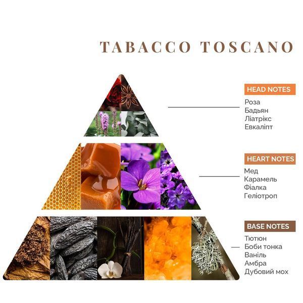 Аромадиффузор Tabacco Toscano, Firenze Logevy, 250 ml LOG0211 фото