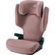 Автокресло Britax R&ouml;mer Discovery Plus (Dusty Rose) 2000039713 фото 1
