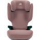 Автокресло Britax R&ouml;mer Discovery Plus (Dusty Rose) 2000039713 фото 2