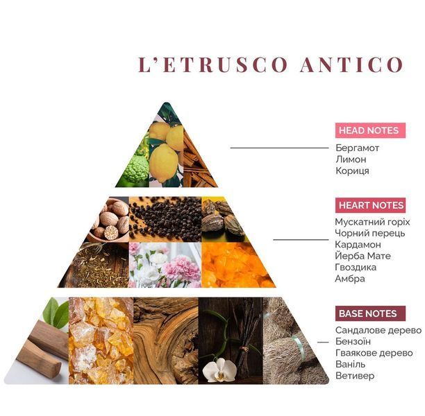 Аромадифузор L'etrusco Antico, Firenze Logevy, 100 ml LOG0192 фото