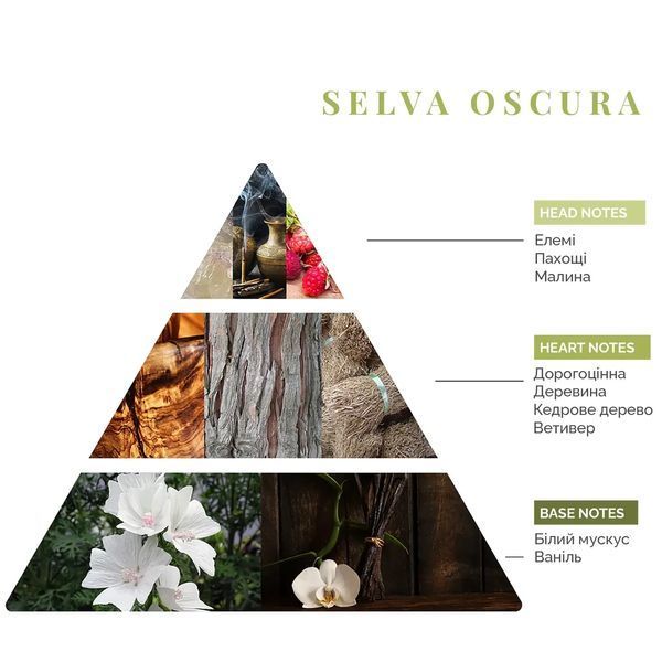 Интерьерные духи Selva Oscura, Firenze Travel Logevy, 30 ml 30-Selva фото