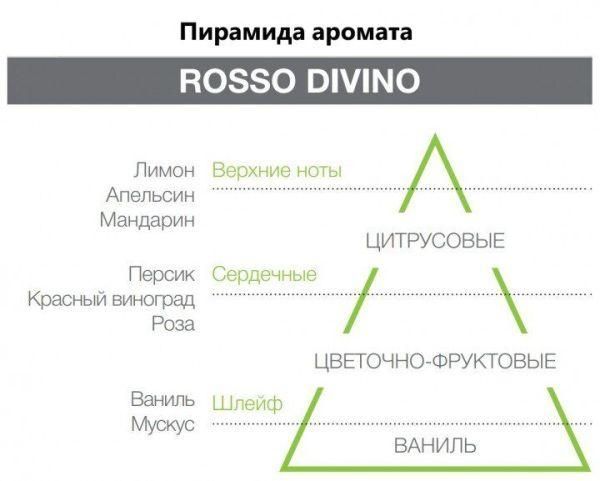 Аромадифузор Rosso Divino, Eco Chic Hypno Casa, 250 ml 000006069 фото