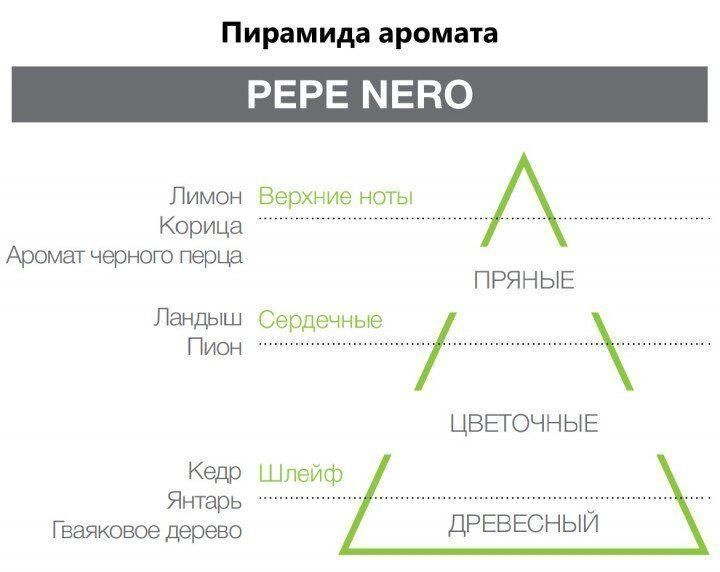 Аромадиффузор Pepe Nero, Eco Chic Hypno Casa, 250 ml 2204B фото
