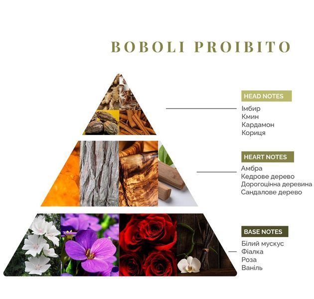 Аромадифузор Boboli Proibito, Firenze Logevy, 100 ml LOG0168 фото