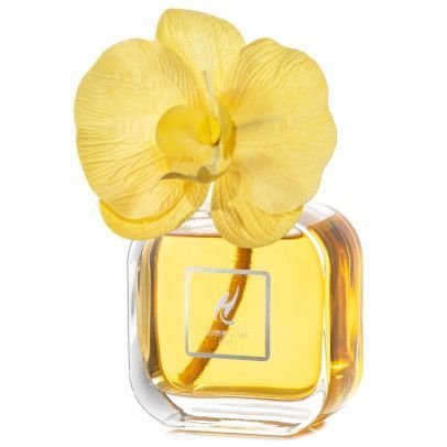 Аромадиффузор Vaniglia&Patchouly, Hypno Casa Orchidea, 100 ml 2230J фото