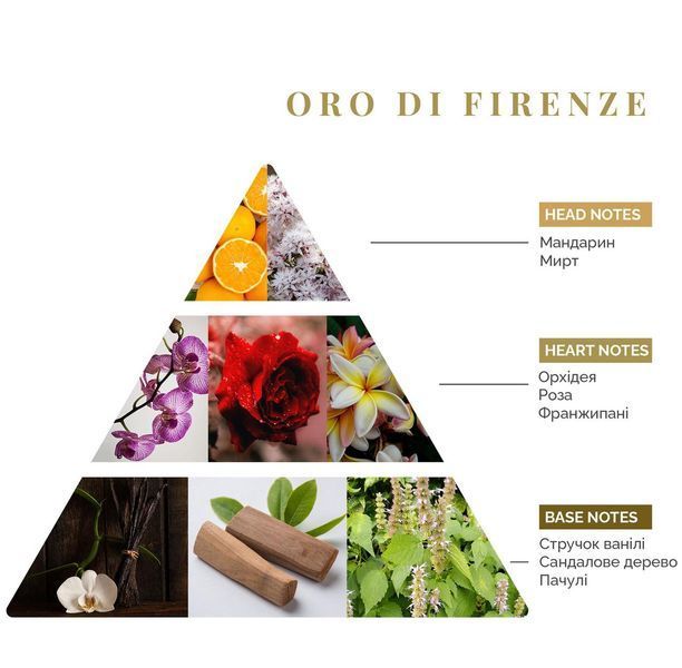 Аромадифузор Oro Di, Firenze Logevy, 100 ml LOG0198 фото