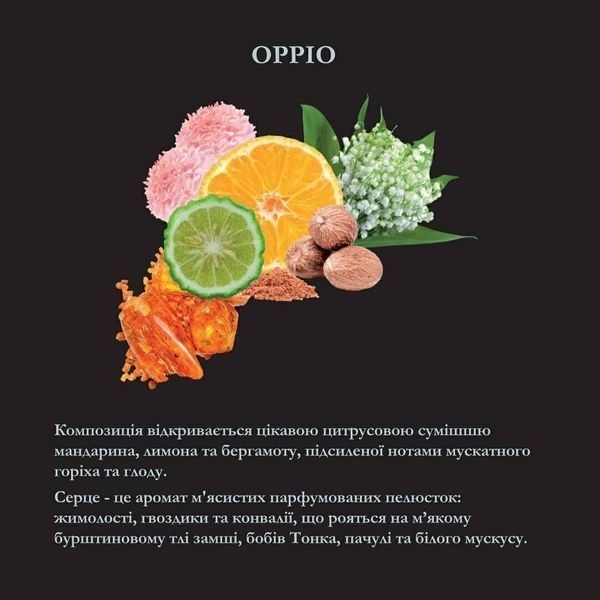 Гель для стирки парфюм Oppio, Luxury Line Hypno Casa, 100 ml 3671 фото