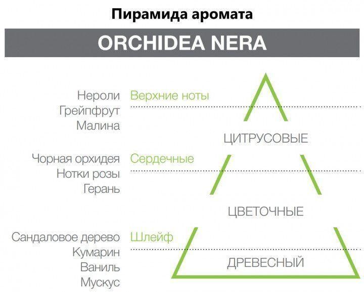 Аромадиффузор Orchidea Nera, Eco Chic Hypno Casa, 250 ml 000006070 фото