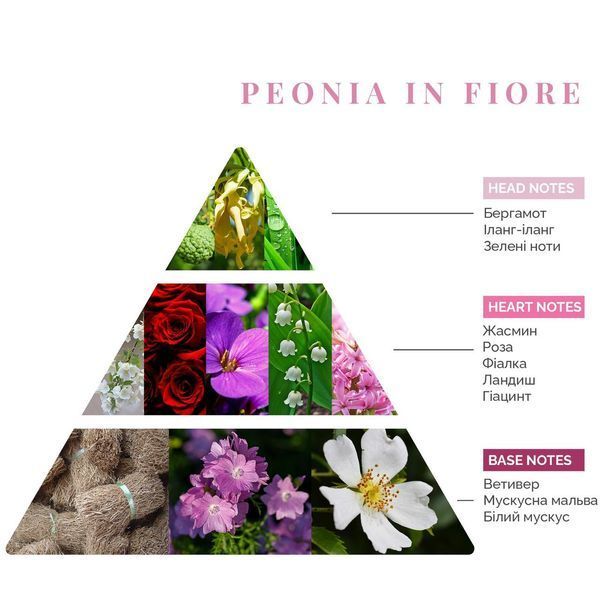 Аромадифузор Peonia In Fiore, Firenze Logevy, 500 ml 000006048 фото