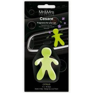 Ароматизатор в машину человечек Mr&Mrs CESARE BLISTER Citrus 210603 фото