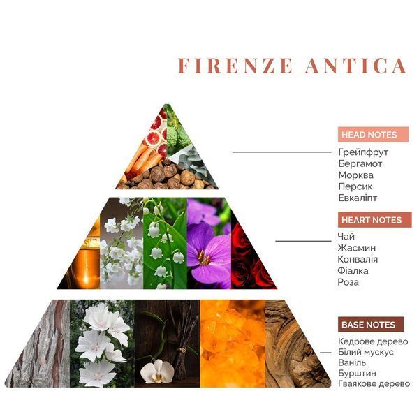 Аромадифузор Antica, Firenze Logevy, 100 ml LOG0183 фото