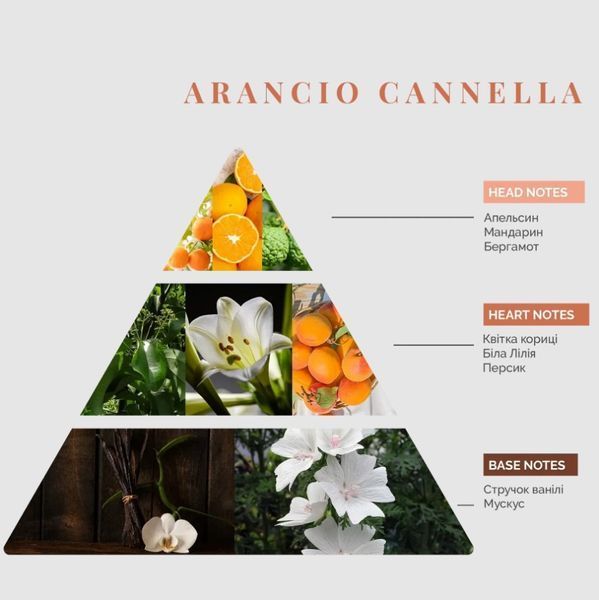 Аромадиффузор Logevy Firenze 100 ML Arancio Cannella (Апельсин & корица) LOG0167 фото