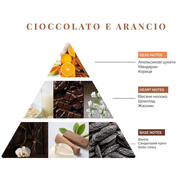 Аромадифузор Cioccolato E Arancio, Firenze Logevy, 250 ml LOG0175 фото