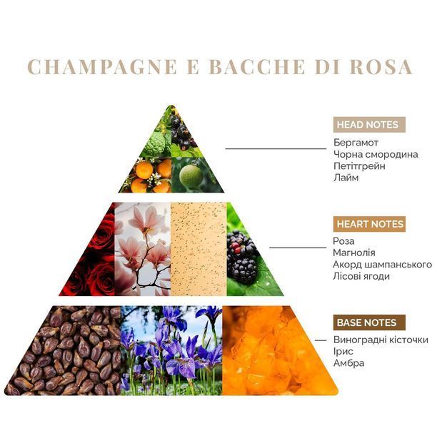 Аромадиффузор Champagne E Bacche Di Rosa, Firenze Logevy, 100 ml LOG0171 фото