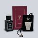 Аромасаше HURRICANE BURGUNDY PERFUME PREMIUM 30мл 200041192 фото 1
